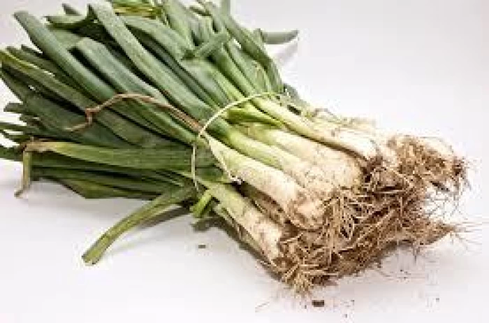 Calçots